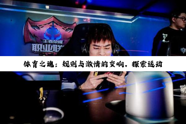 体育之魂:规则与激情的交响,探索运动的无尽魅力