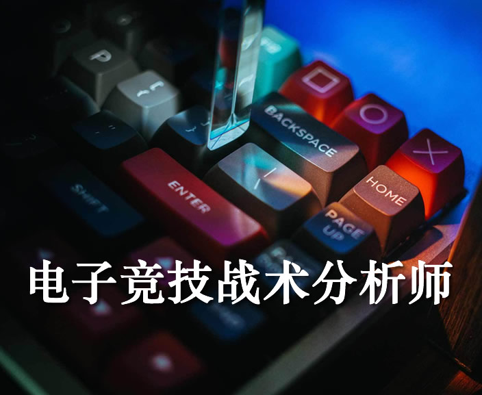 电子竞技战术分析师