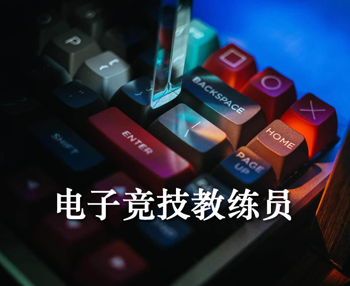 电子竞技教练员